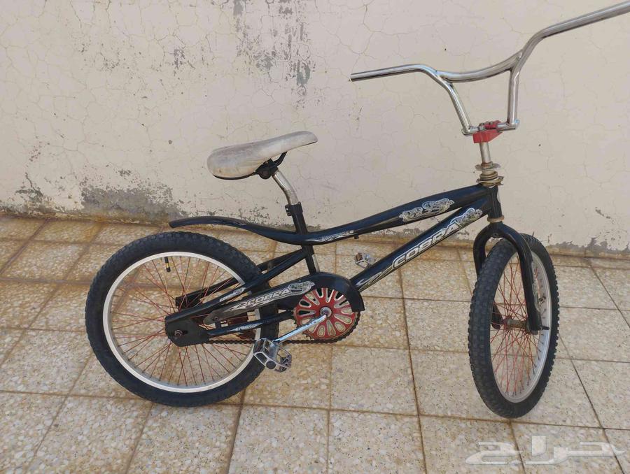 Cyclone Cobra64482336501506110