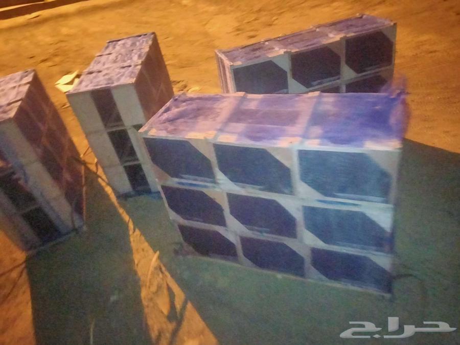 نحل مصري علي الشرط خالي من الامراض64483517798659112