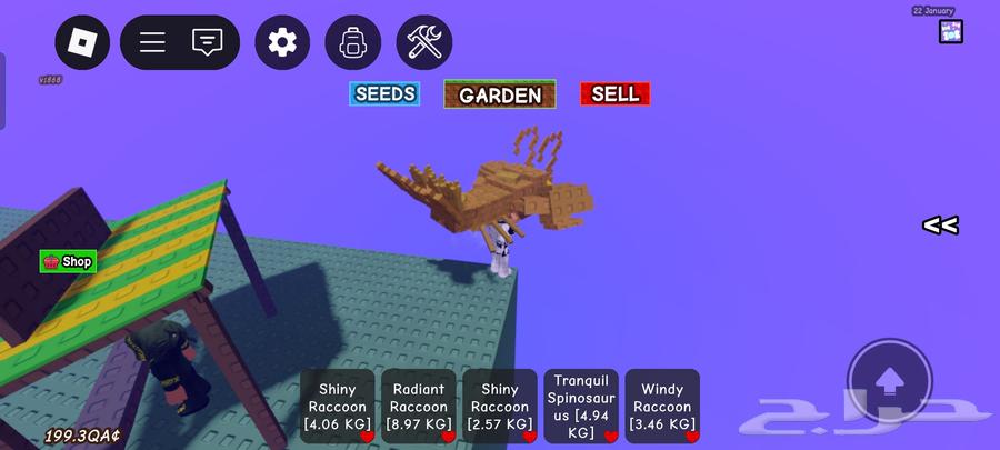 حيونات GOG للبيع جميع الي بي الشنطه 150 ريال64483301243265110