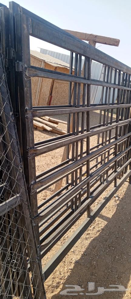 Darf Apple64480085126785110