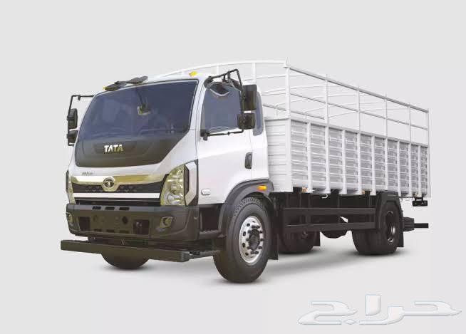 مشاوير دينة عرض اليوم الوطني64525510935682110