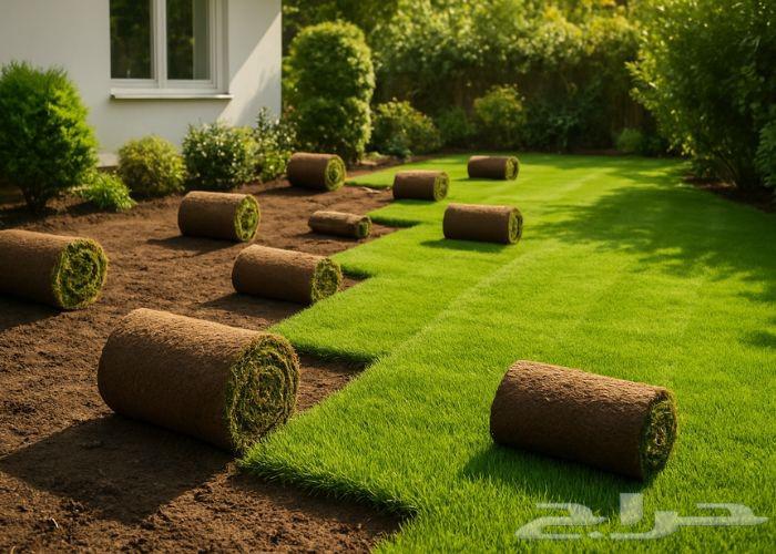 Natural grass with delivery and installation.64480592890625110