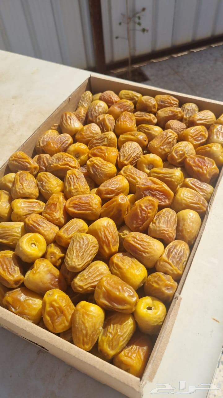 Al-Muftal Sugar Dates64482484753667112