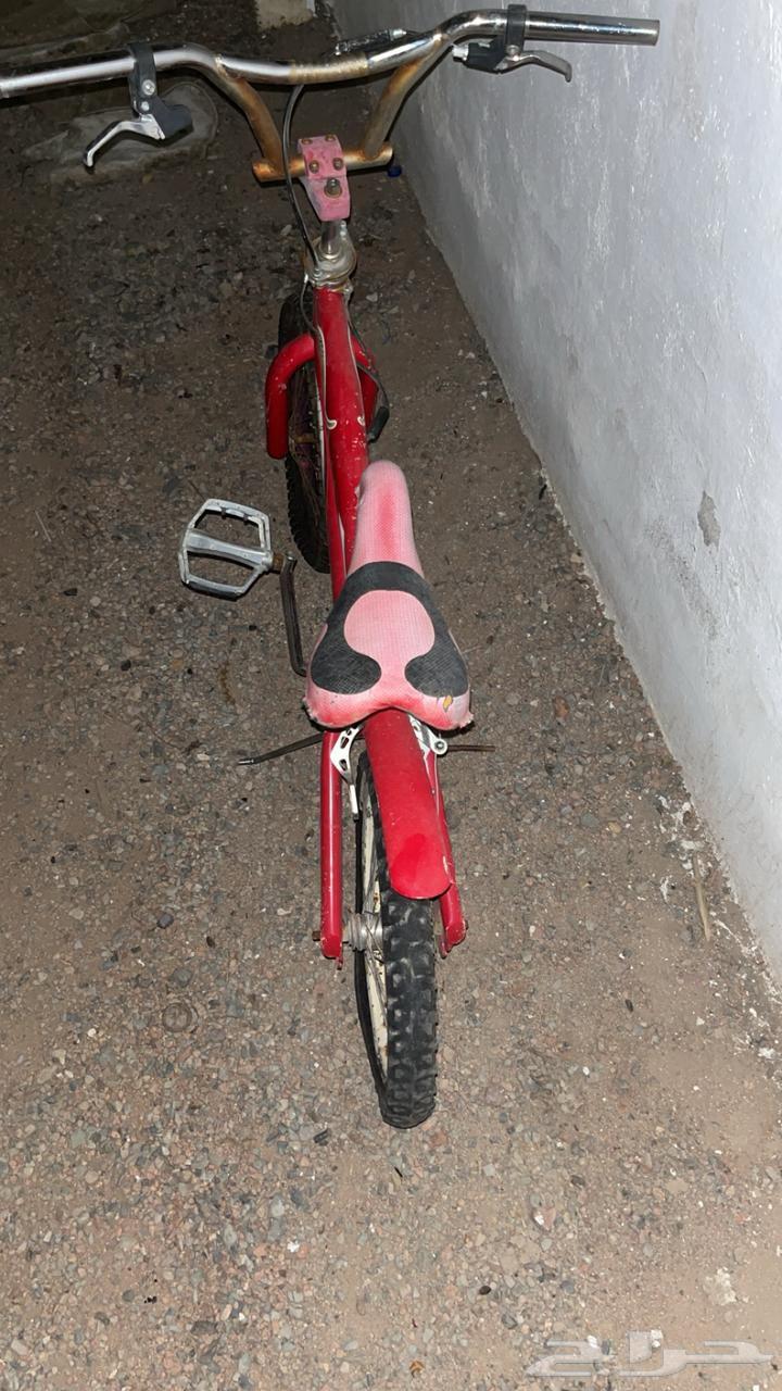 Sikl64486150402817111