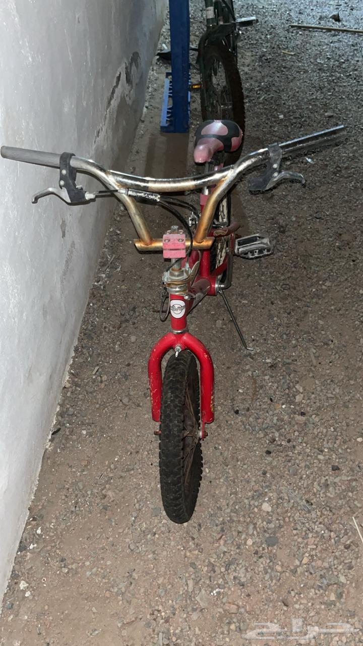 Sikl64486150402817110