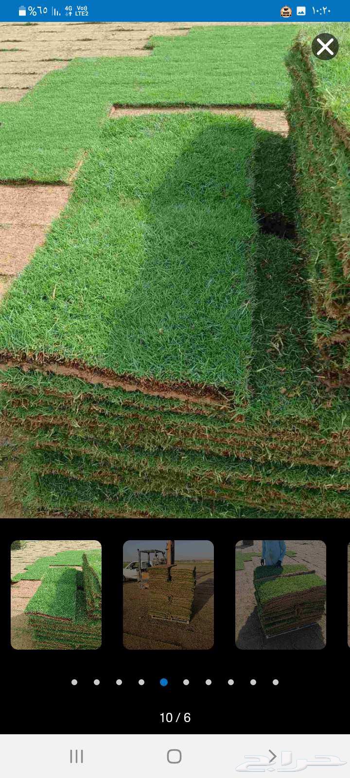 ثيل طبيعي سي 2000 درجه اولى صافي ونقي على الشرط شكل جمالي وخ64480345588481110