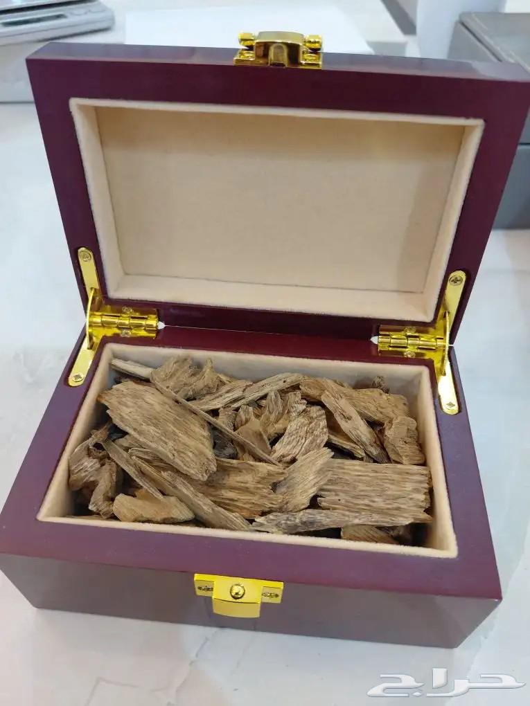 عود كلمنتان بونتيانك طبيعي64479619107201110