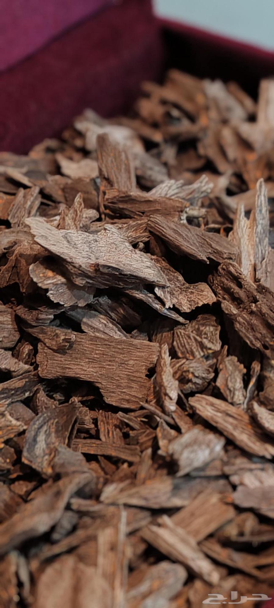 عود طبيعي كلمنتان بونتيانك اقل من السوبر سعر طيب64483563492993112