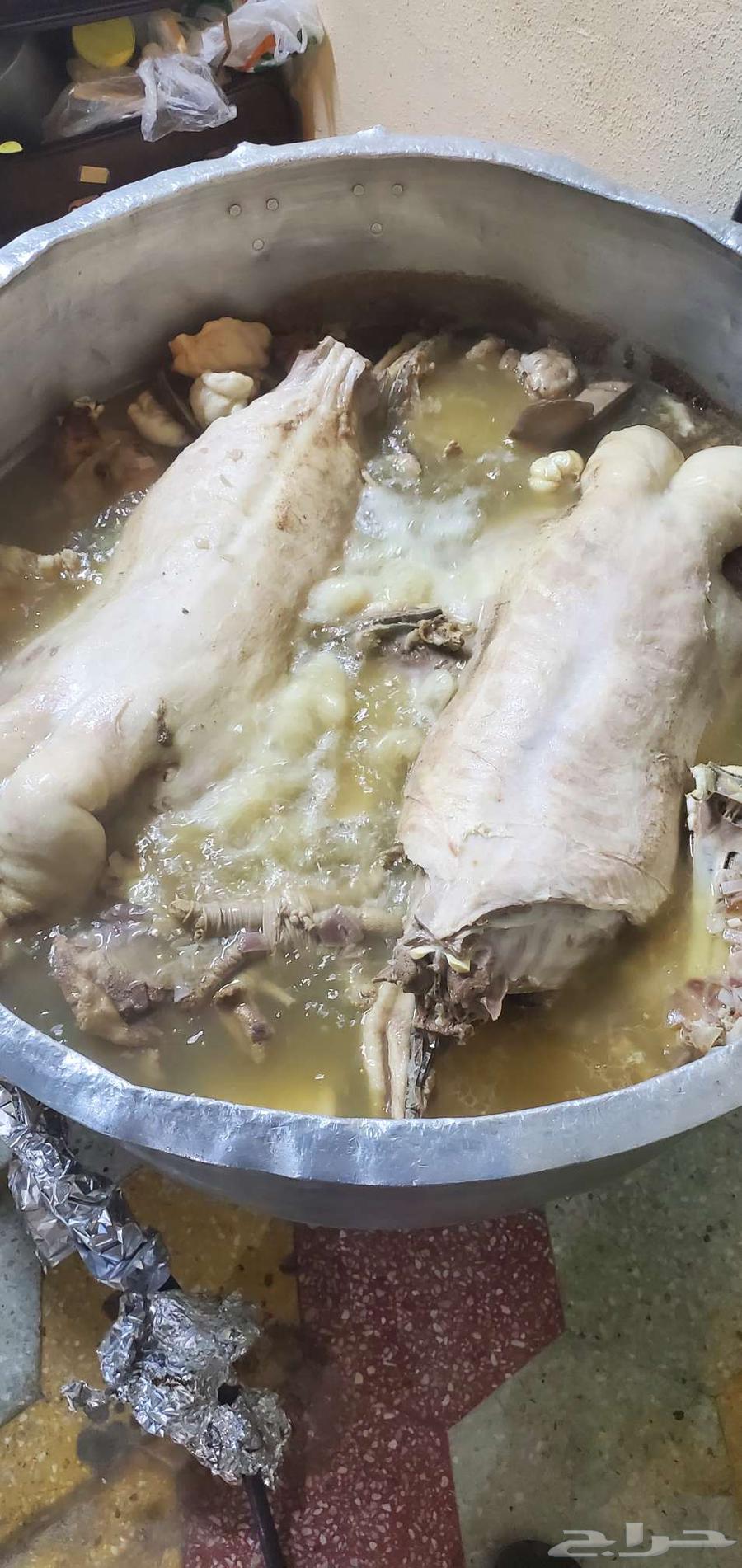 الطباخ ابو احمد64613900492675112