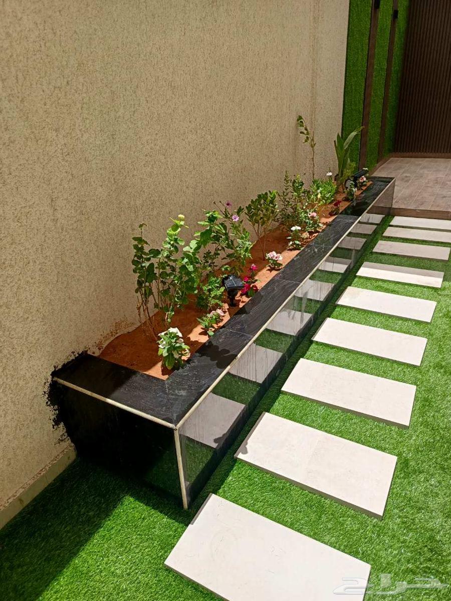 عشب طبيعي أحواض زراعة تنسيق حدائق غرف زجاجيه تصميم إستراحات64565353831553111