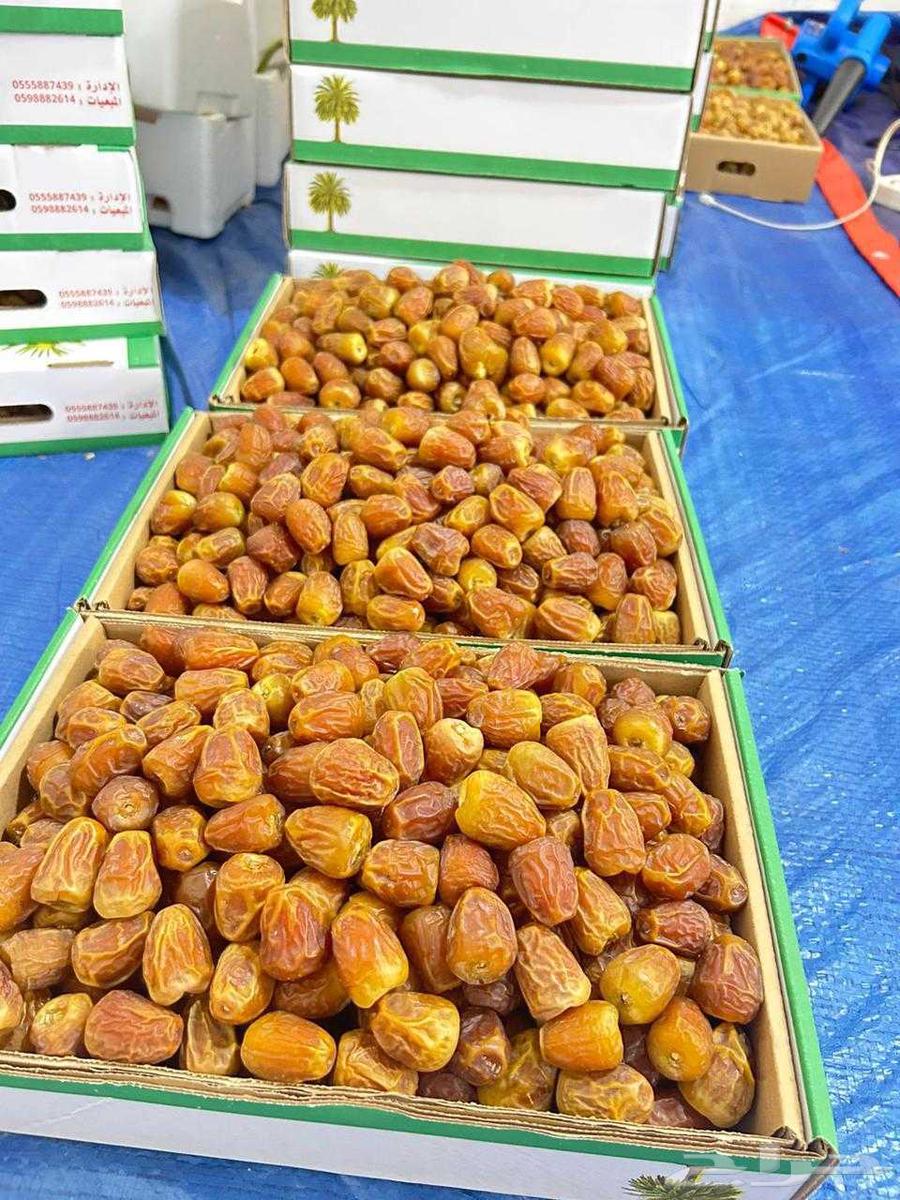 Al-Muftal Sugar Dates64482484753667113