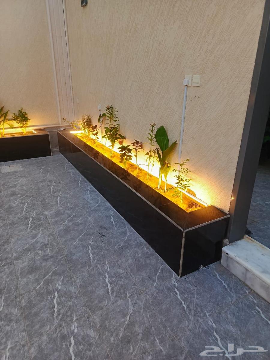 عشب طبيعي أحواض زراعة تنسيق حدائق غرف زجاجيه تصميم إستراحات64565353831553113