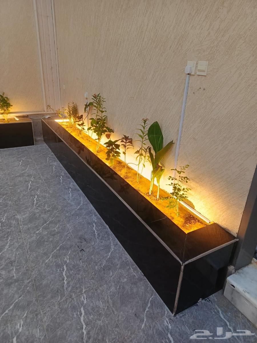 عشب طبيعي أحواض زراعة تنسيق حدائق غرف زجاجيه تصميم إستراحات64565353831553112