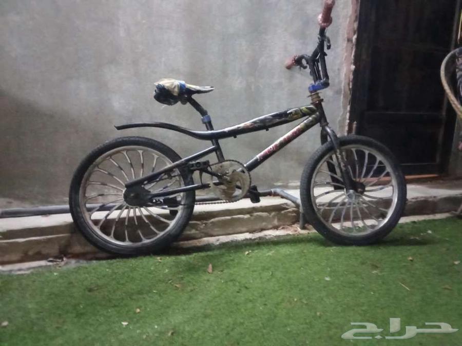 Cyclone Cobra64483082395010111