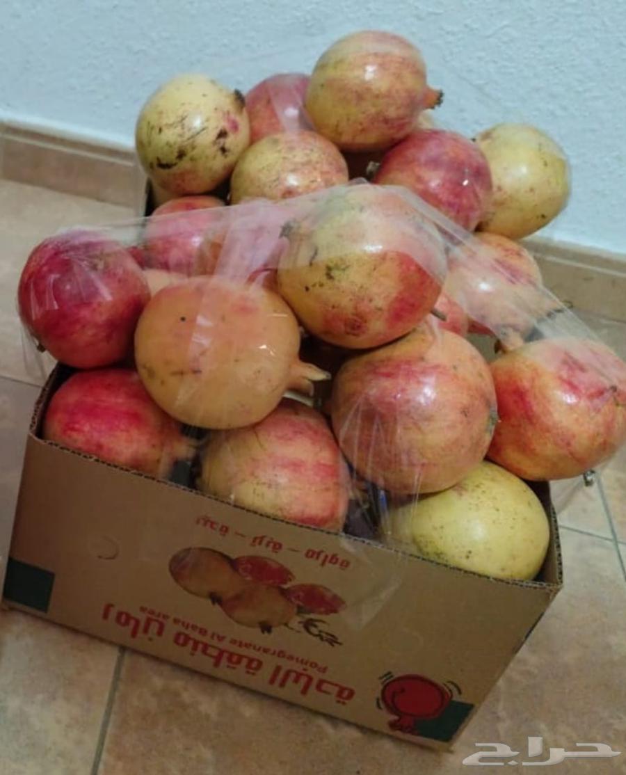 رمان الباحة. الان بالرياض64490843444866111