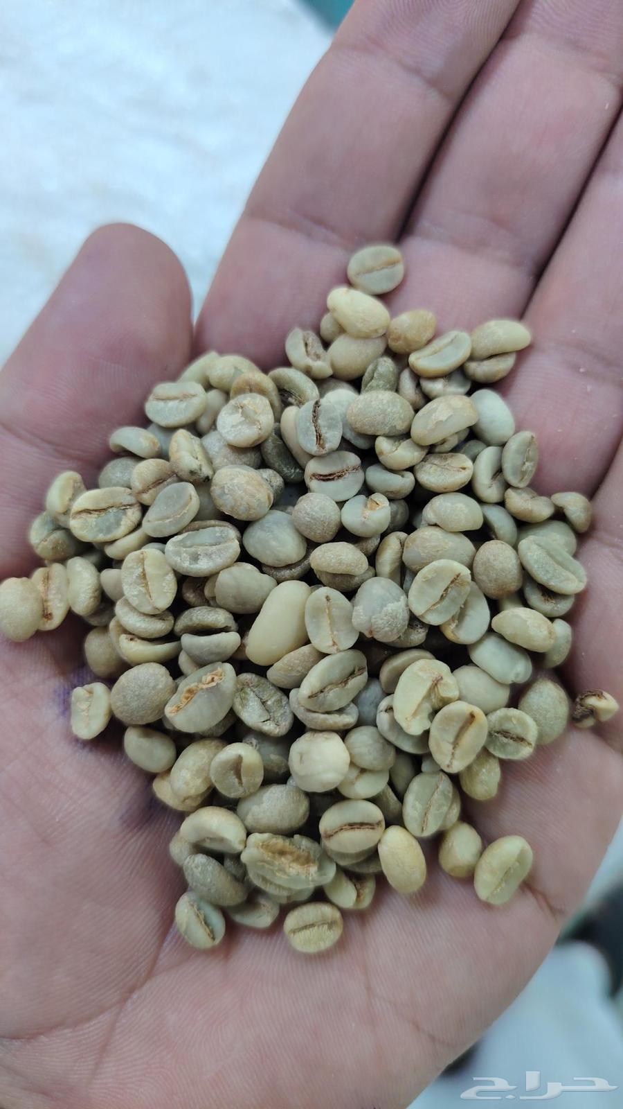 بن خولاني درجة اولئ مظمون محصول جديد علئ الشرط64490303823745110