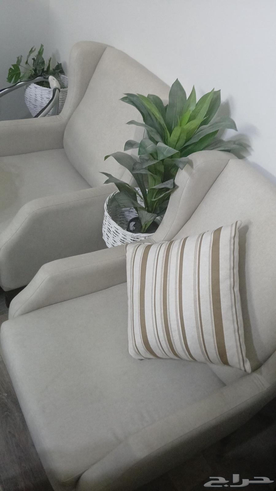 كنب اخو الجديد يتحول لسرير 4 قطع sofa turn to bed64489586562562110