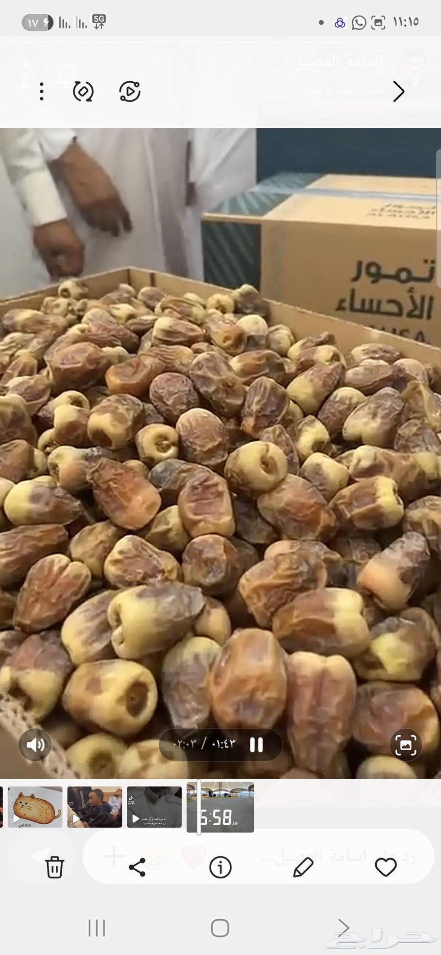 Al-Ahsa Date Cartons Empty Date Cartons for Sale64490858491009111