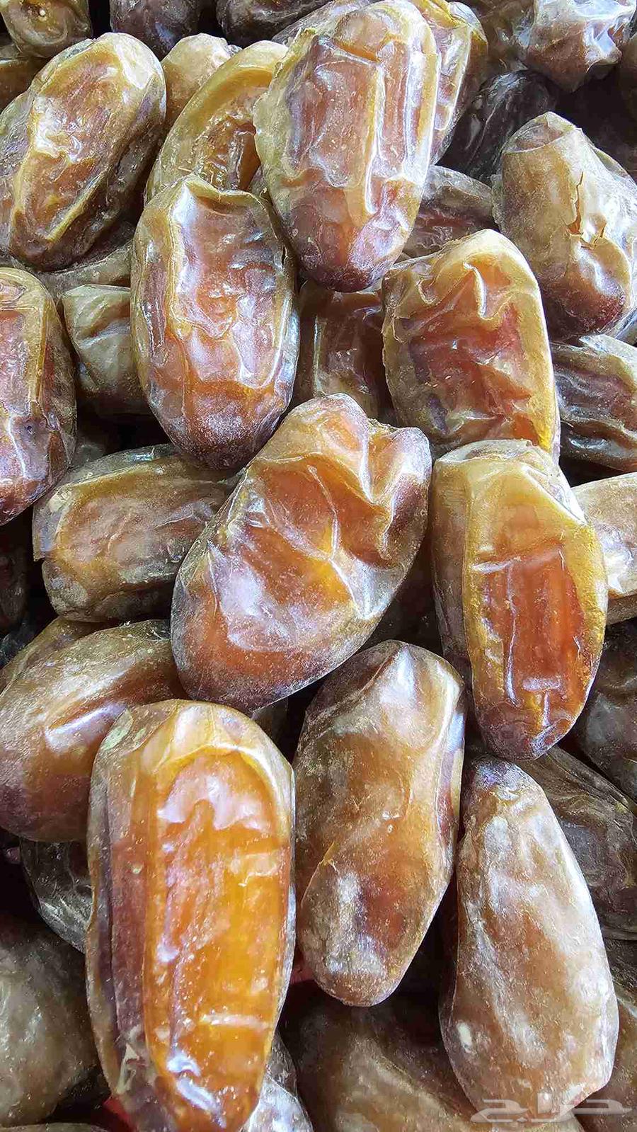 Premium Large Size Safri Dates64485120598913111