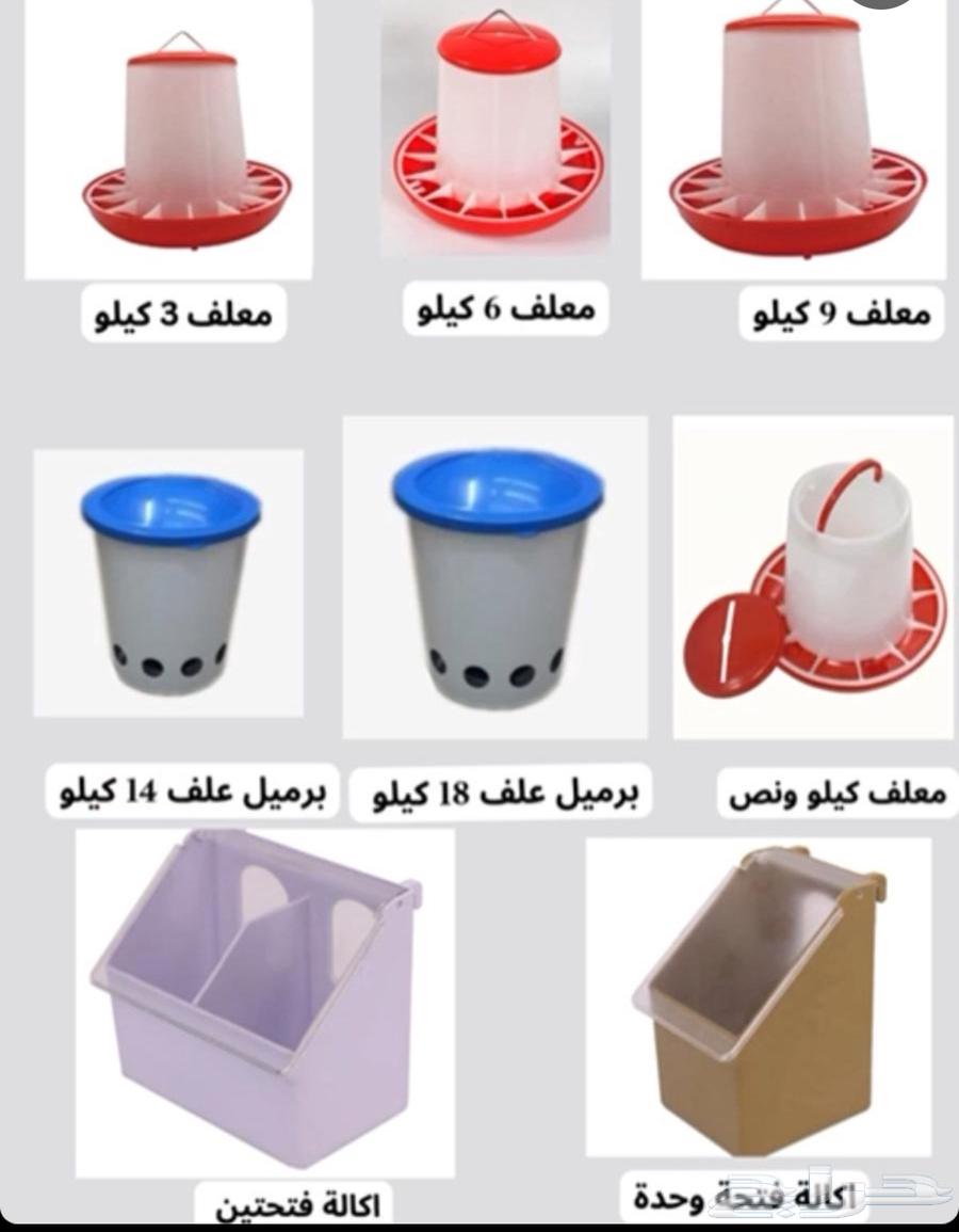 Selling all pigeon coop supplies, feeders, wooden stands in Afif64489364343939110