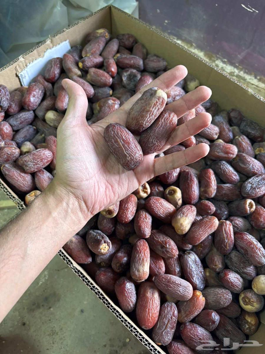 يوجد لدينا مجدول64489350153730111