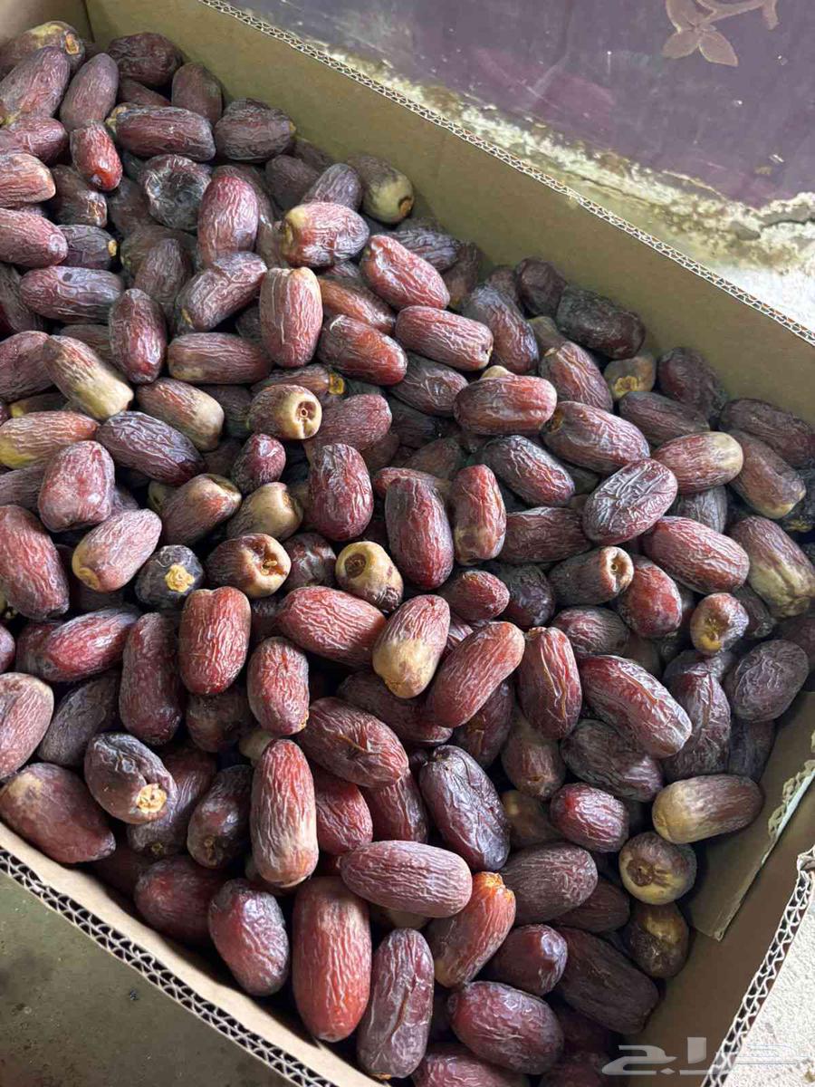 يوجد لدينا مجدول64489350153730110