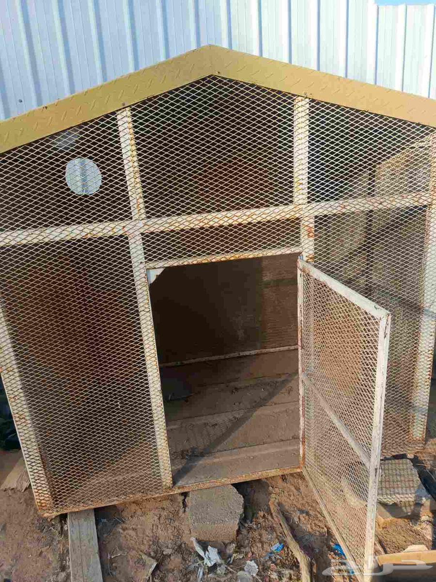 قفصين للبيع تنفك كلاب و دجاج و قطط64491293250178110