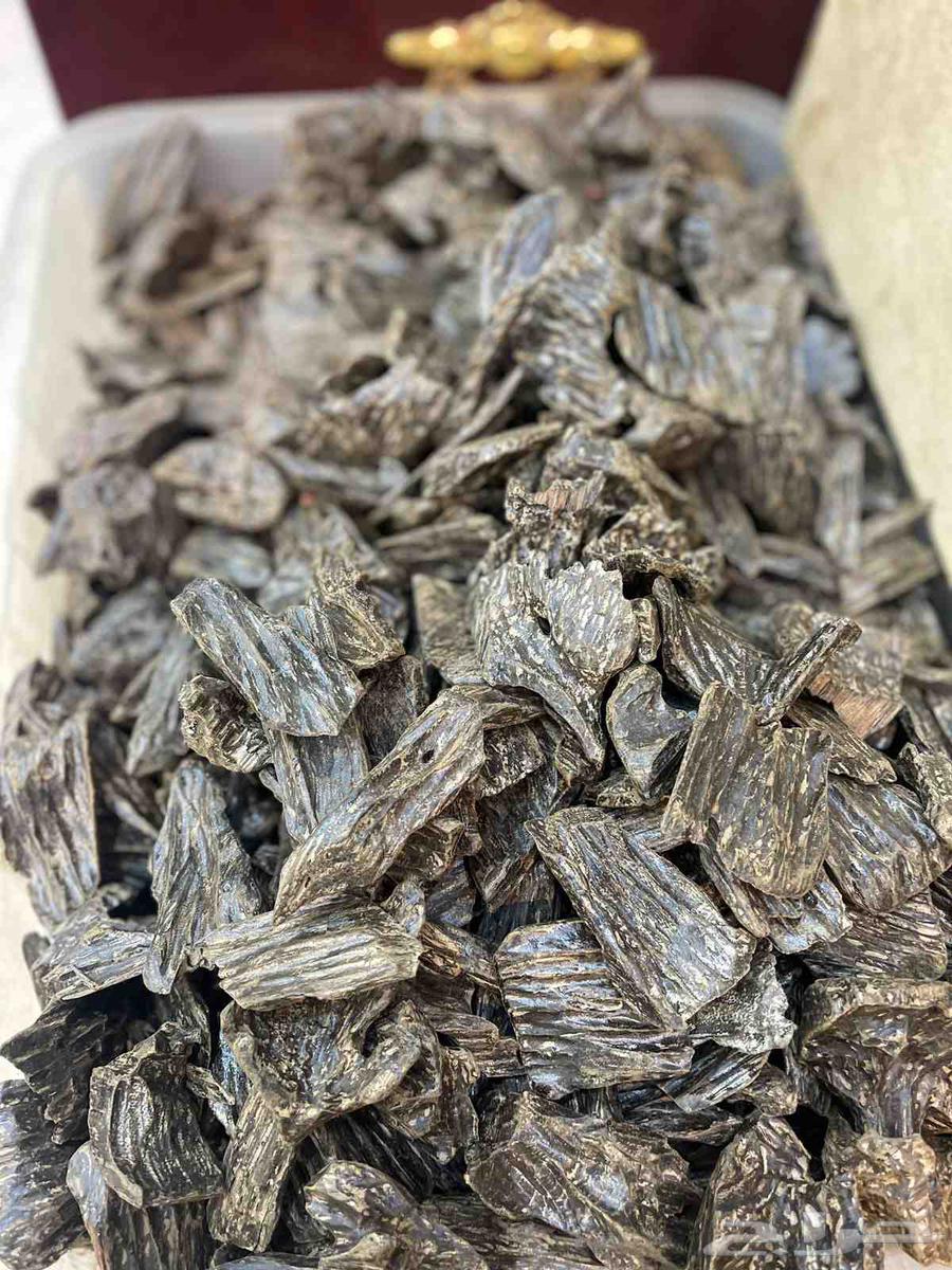 عروض اليوم الوطني على العود الطيب64489489023361111