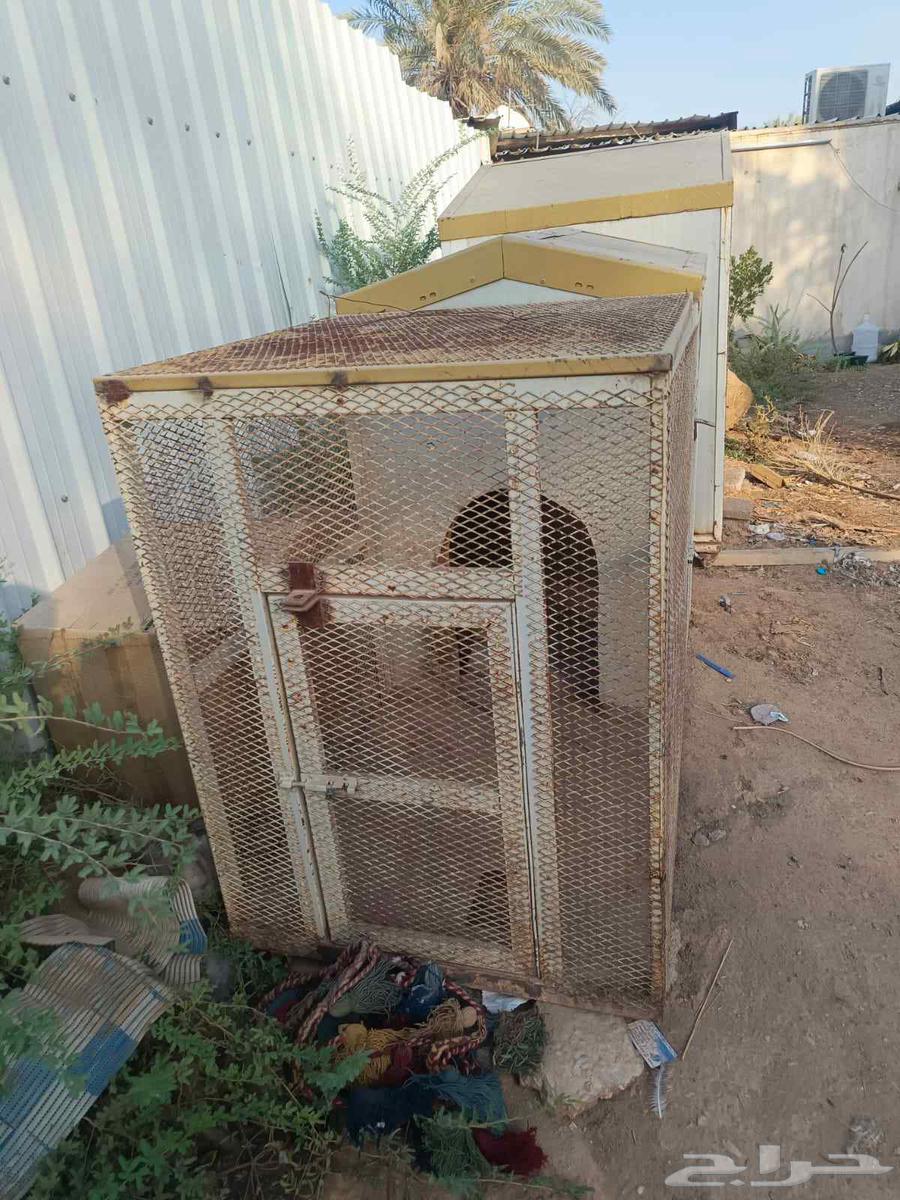 قفصين للبيع تنفك كلاب و دجاج و قطط64491293250178112