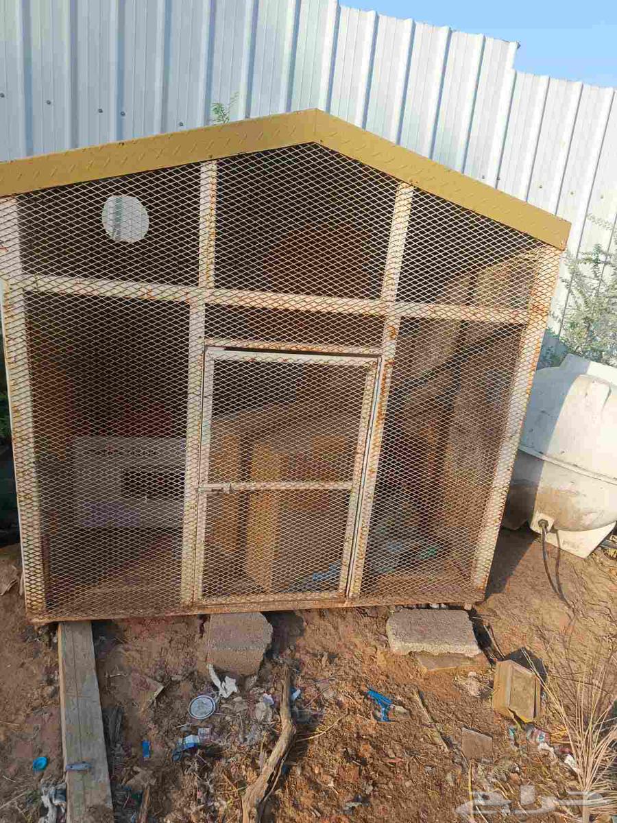 قفصين للبيع تنفك كلاب و دجاج و قطط64491293250178111