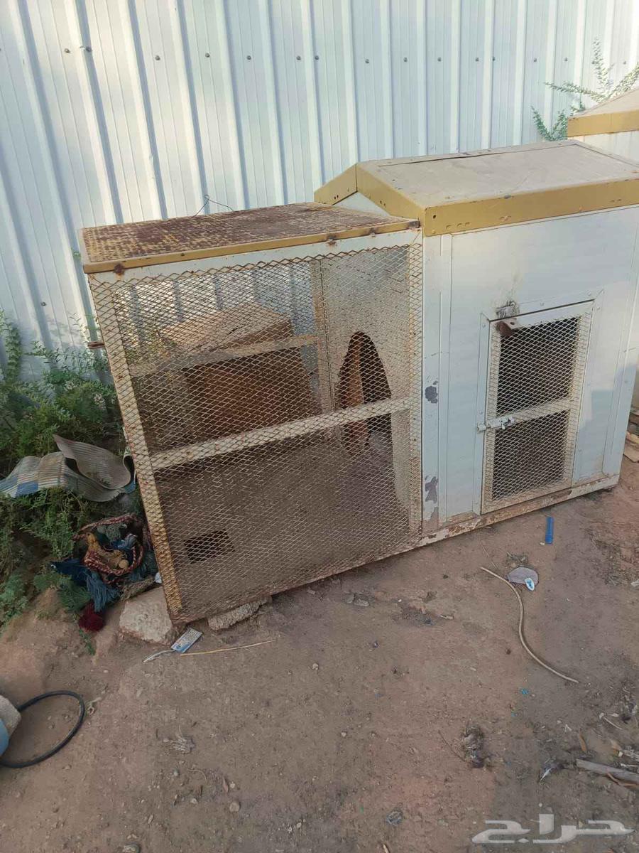 قفصين للبيع تنفك كلاب و دجاج و قطط64491293250178113