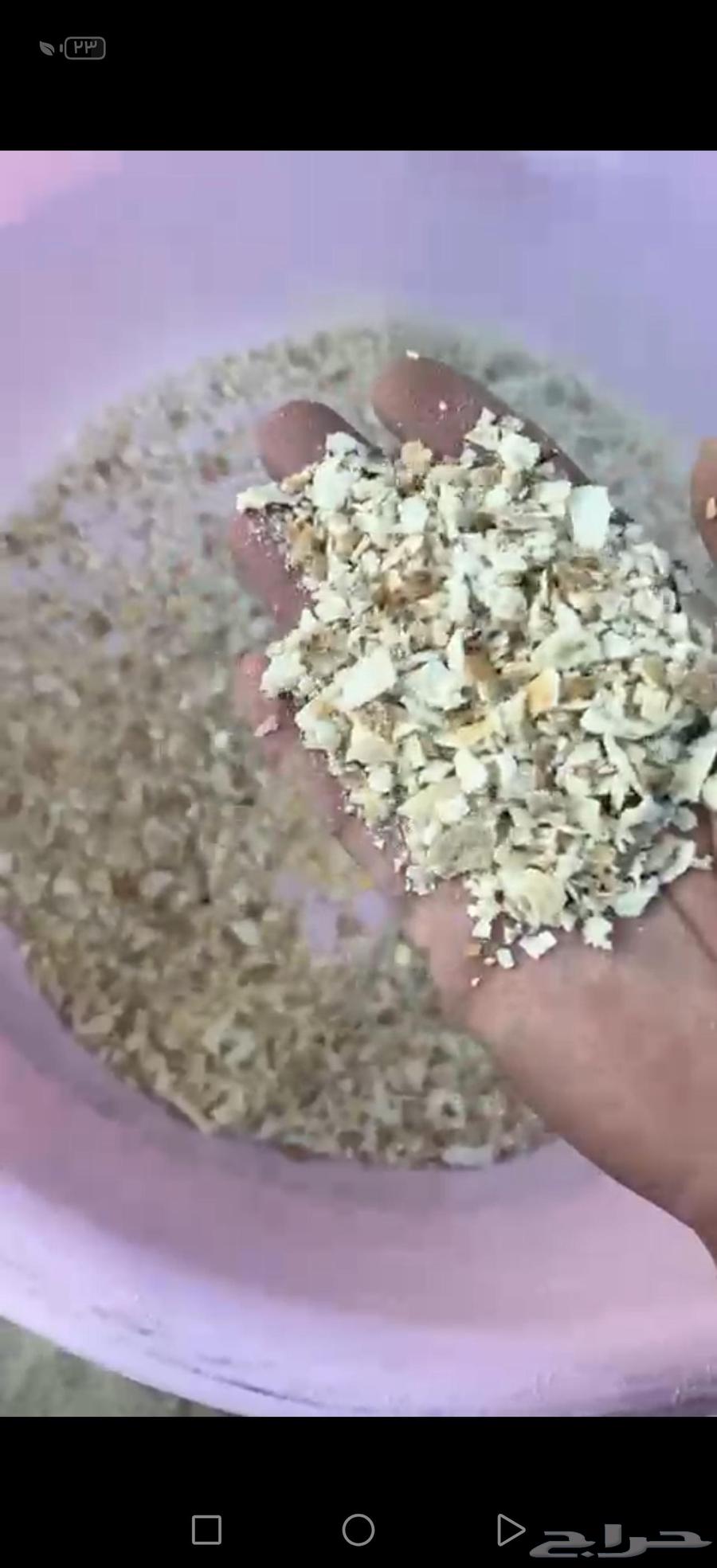 جراشة إيطالي نظيفة جدا64488906775810114