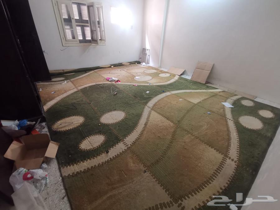 2 سجادة للبيع64486468896387110