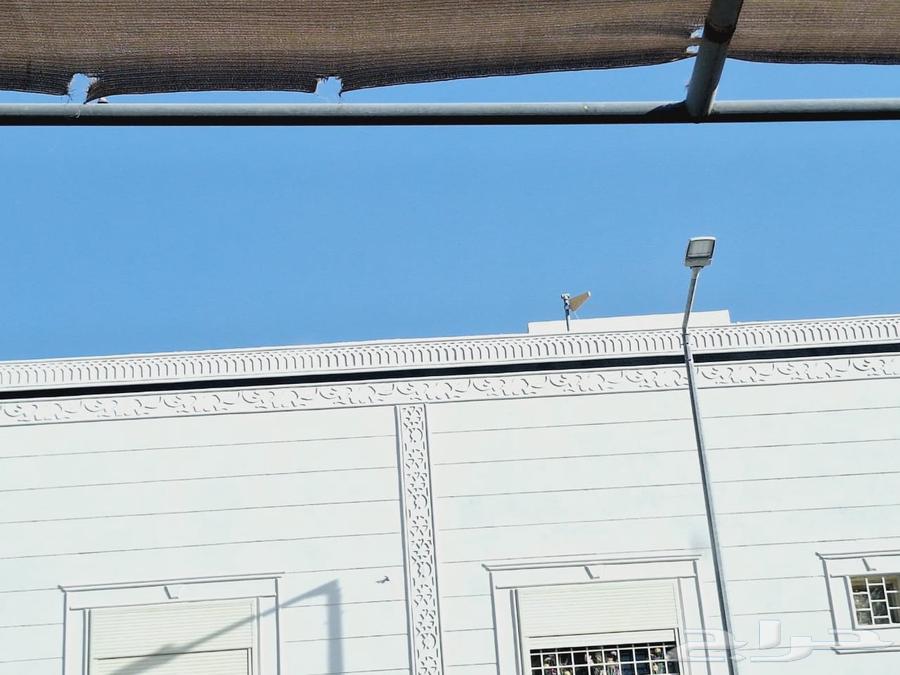 لياسه ملونه خارجيه بديل الحجرالطبيعي64489834214529110