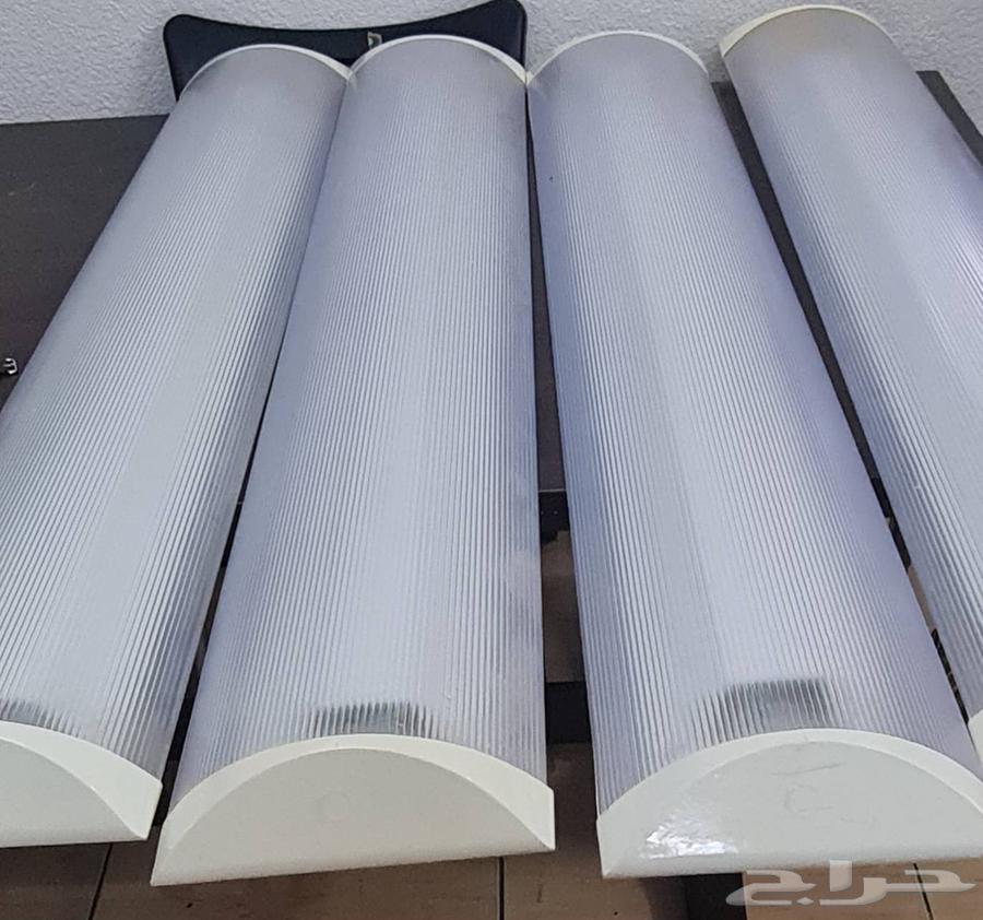 اضاءة لمبات نيون64493300455681111