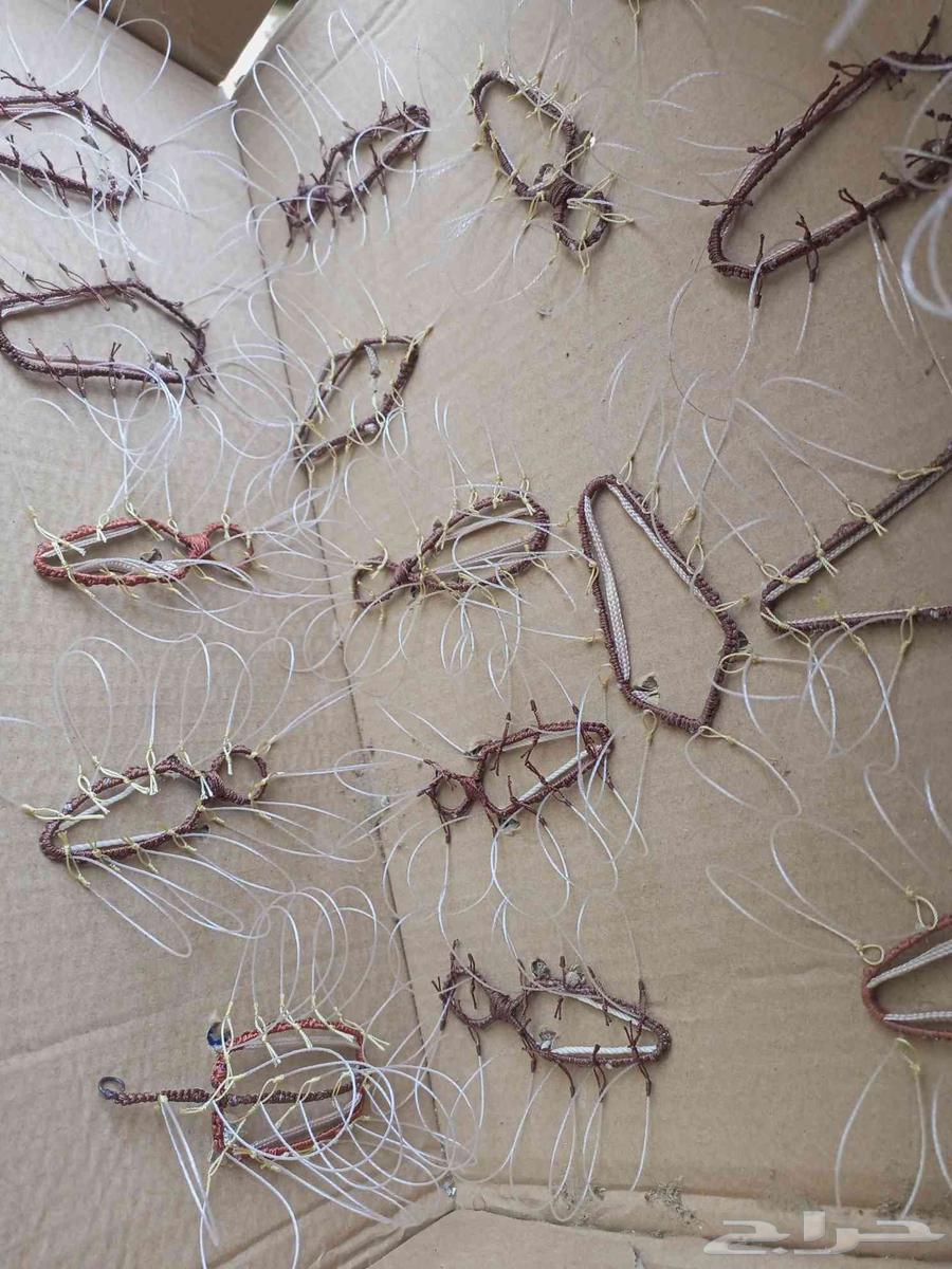 Hawk Trapping Net64494618621057113