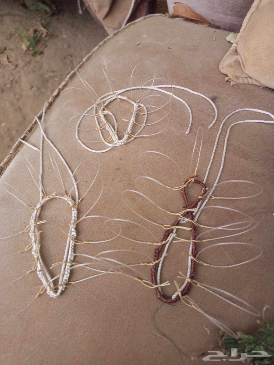 Hawk Trapping Net64494618621057112