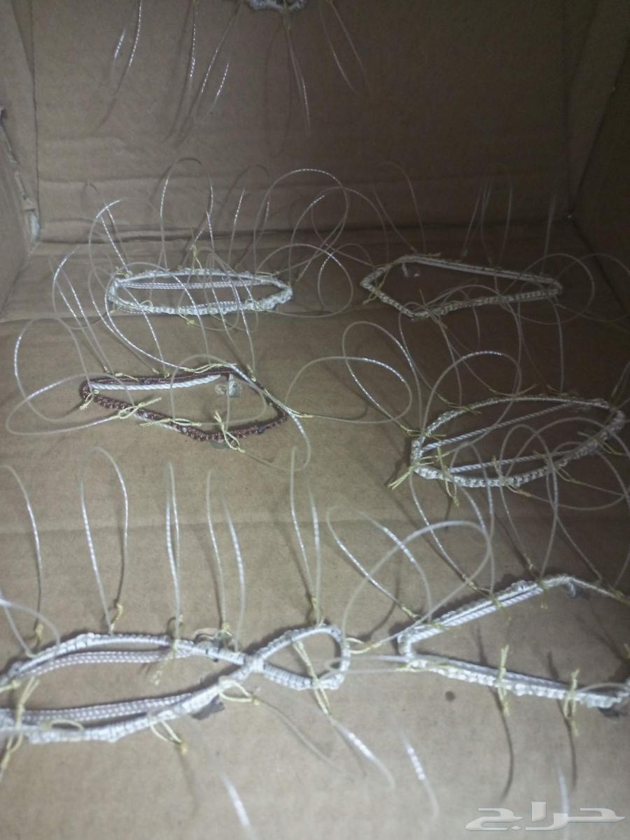 Hawk Trapping Net64494618621057111