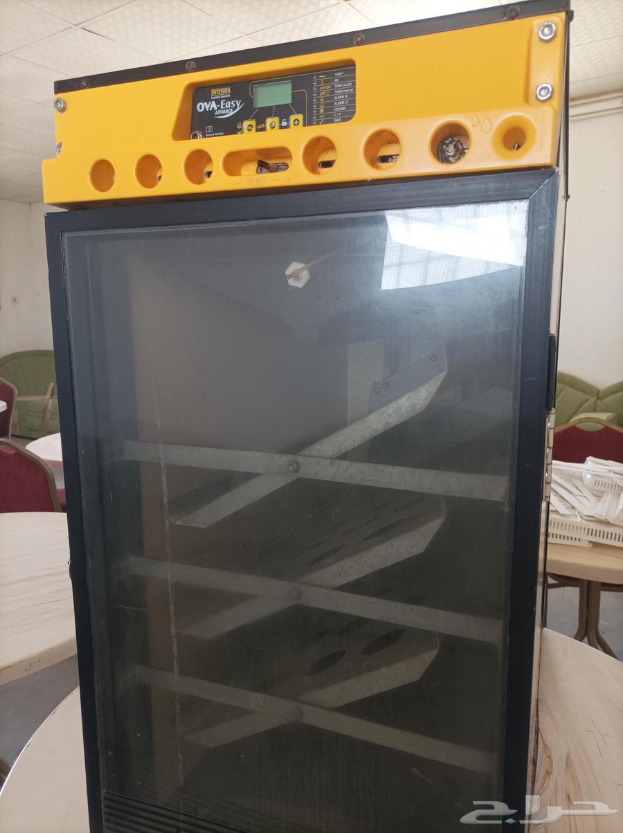 فقاسة برنسي 380 بيضه64487855945474110