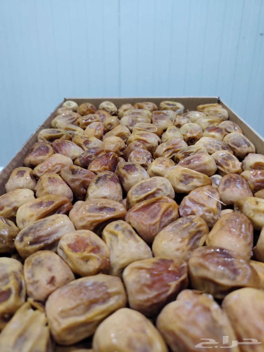 عرض اليوم الوطني ( تمر)64488160086914112