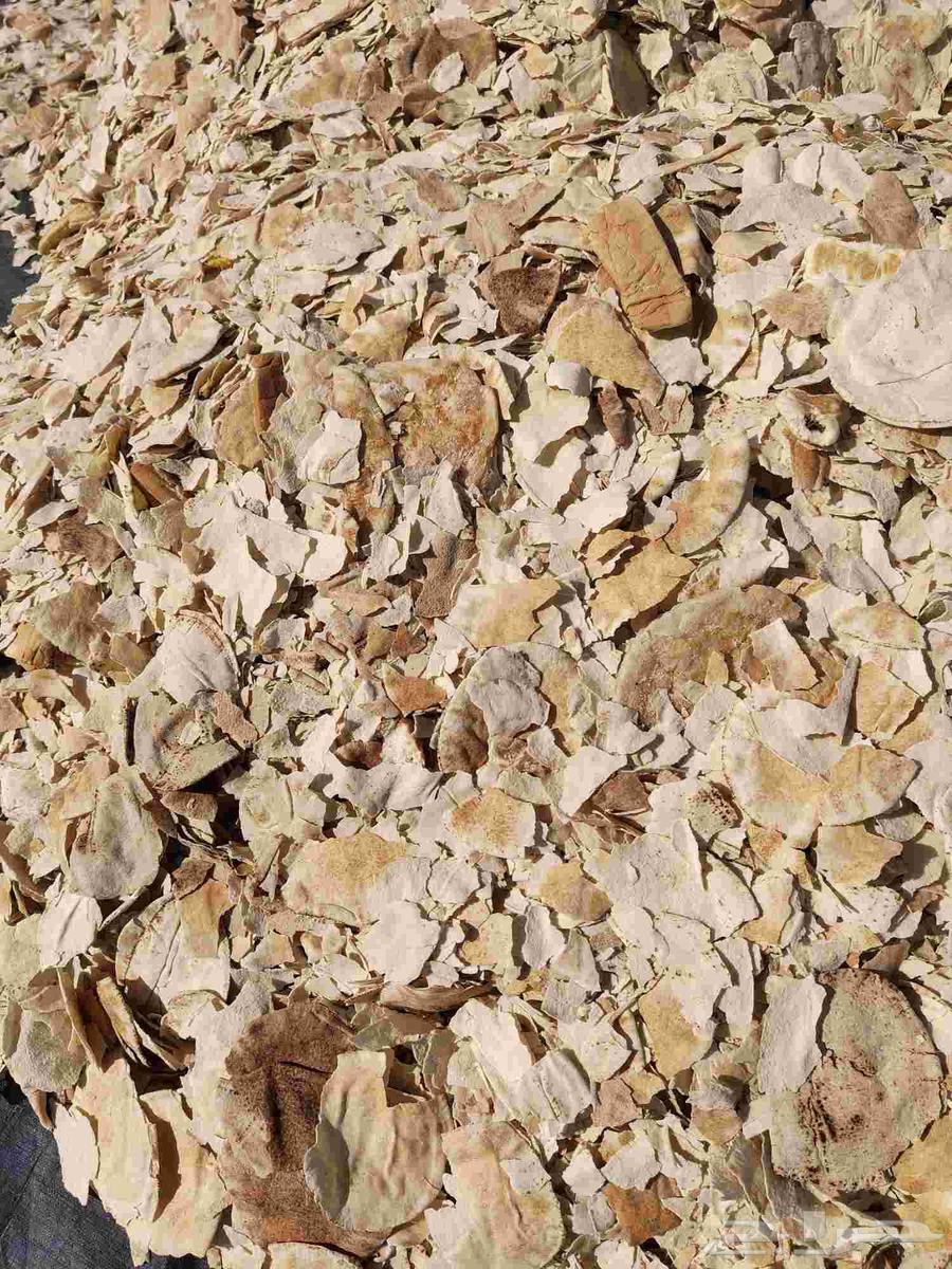 خبز يابس مكسر للحلال64489696820994110