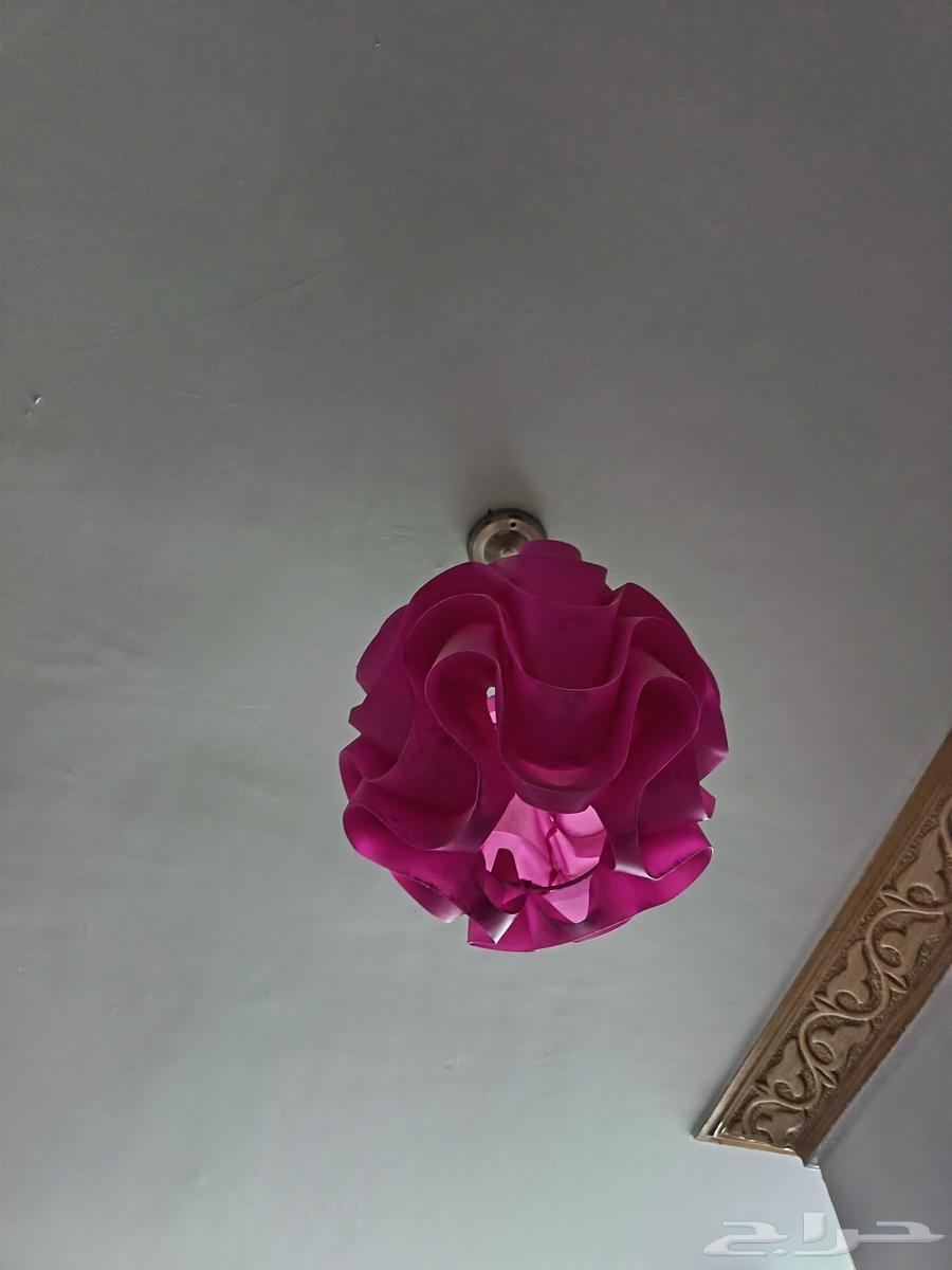 نجف و طابعة و ستارة و برادة و دريل شنيور عرض خاص64492148374786110