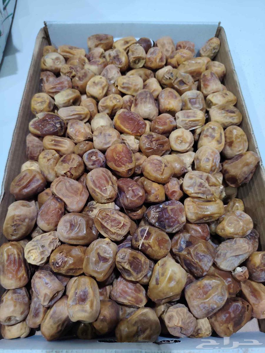 عرض اليوم الوطني ( تمر)64488160086914113