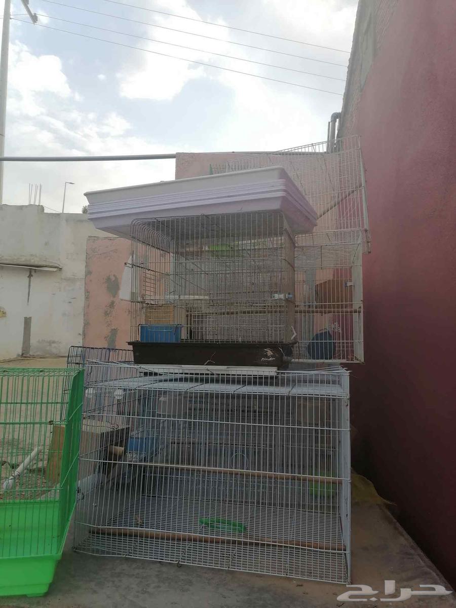 اقفاص طيور زينة مستعملة للبيع64492487427458110