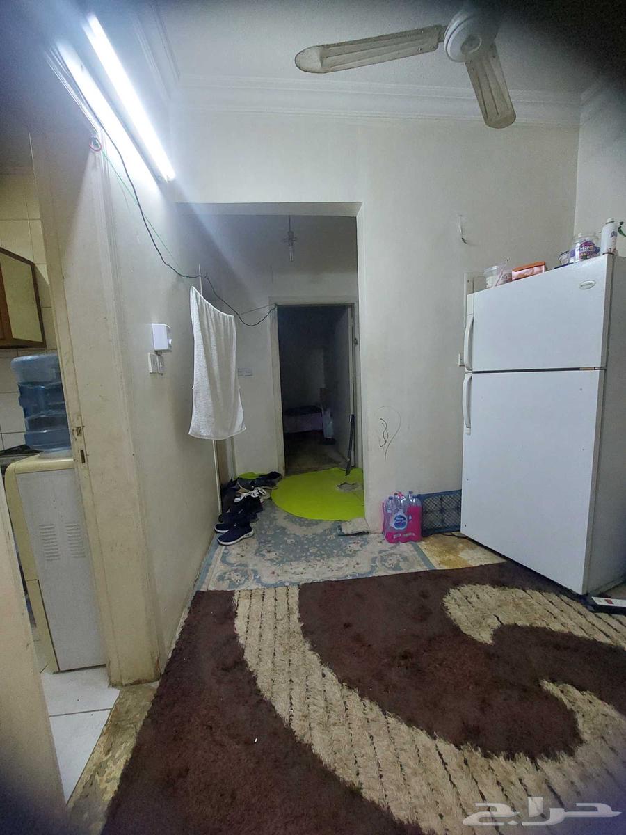 عفش شقه مفروش كامل شبه جديد64488367248130110