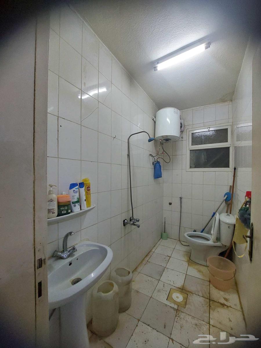 عفش شقه مفروش كامل شبه جديد64488367248130113