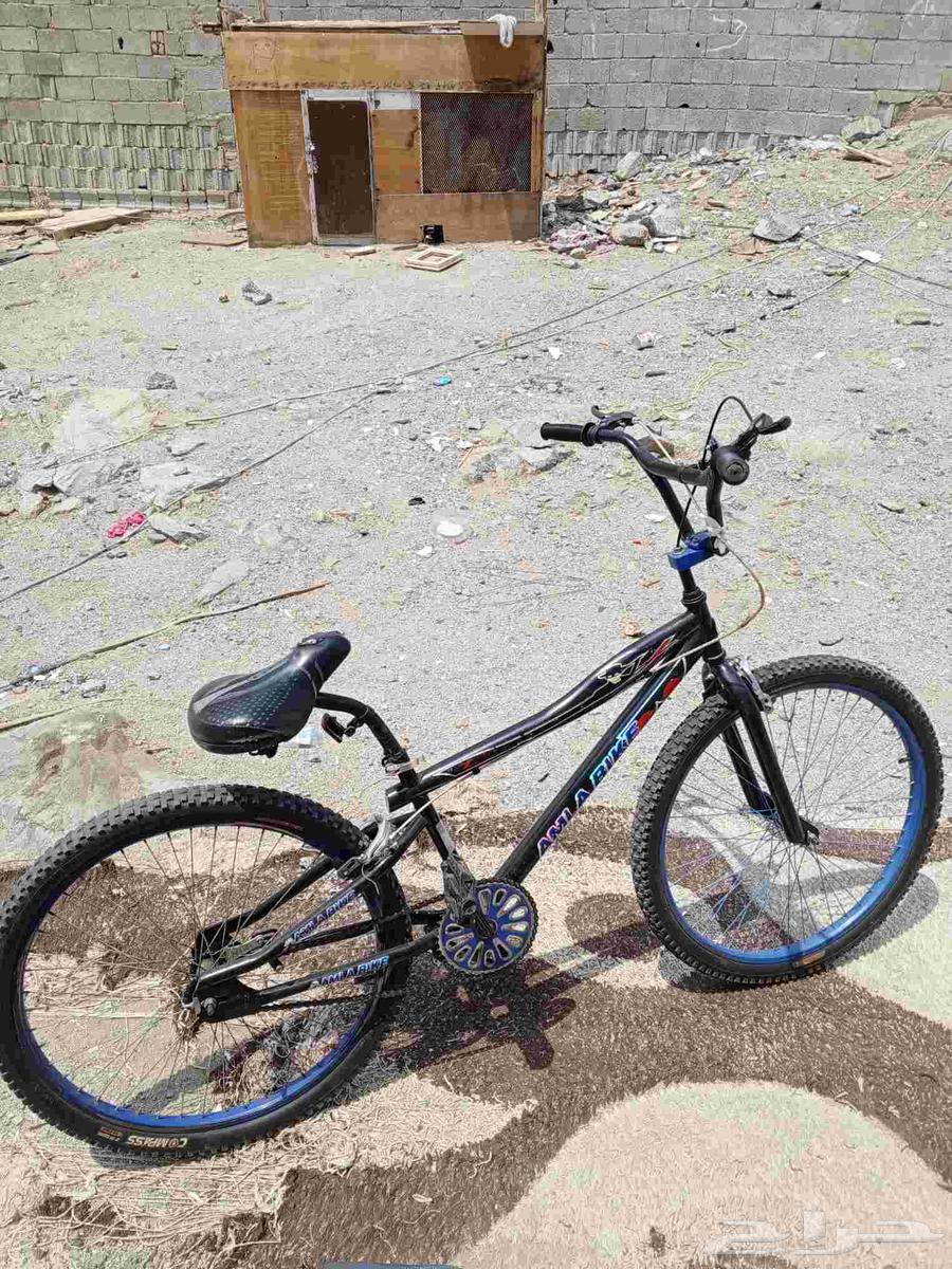 Cobra bicycle size 2664487248568707110