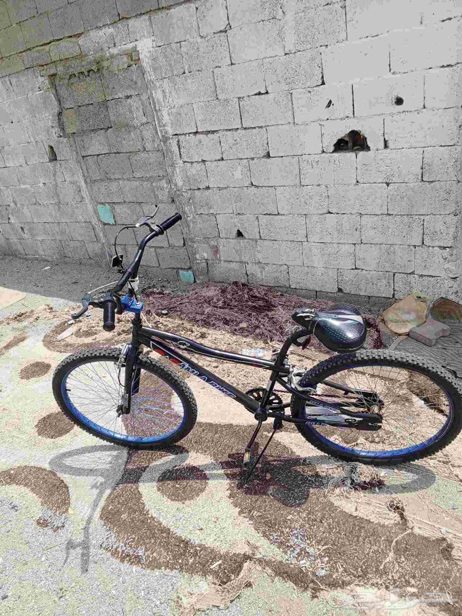 Cobra bicycle size 2664487248568707112