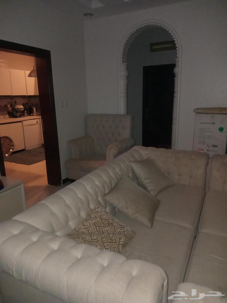 Home furniture sofa, single sofa available in two pieces with all cushions available64487554006529111