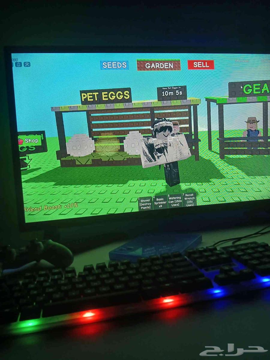 ابيع حسابات روب مشحونه عشوائيه ب 25 ريال64487319221122110